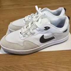 25.5㎝⭐️ NIKE SB ALLEYOOP スニーカー❤️❤️