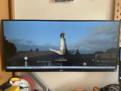 LGワイドモニター　29インチ　モニターアーム付き