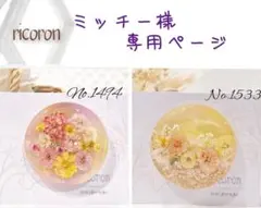 ミッチー様専用ページ