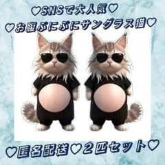 新品　おなかぷにぷにシール 猫 ねこ ネコ サングラスネコ 2匹セット