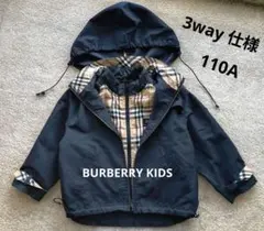 Item thumbnail for item 09cf2263-b33b-43f8-9985-e89ab50b7c32