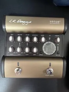 L.R.Baggs VENUE DIのサムネイル