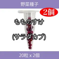 もっちゃまん様 リクエスト 2点 まとめ商品