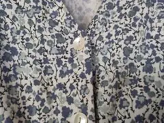 Item thumbnail for item 2f969f81-4aa6-48c4-a42c-9f06ef89f82b