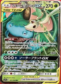 フシギバナ＆ツタージャGX RR SM11a リミックスバウト 001/064