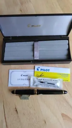 2025年最新】パイロット 万年筆 743の人気アイテム - メルカリ