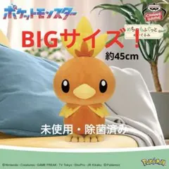 ポケモン アチャモ 大きめぬいぐるみ 45cm〜