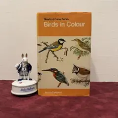 1127②1971年イギリスの鳥図鑑　ボタンニカル　ジャンクジャーナル　洋書古書