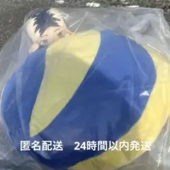 ハイキュー 一番くじ ゴミ捨て場 孤爪研磨 C賞 とびつきクッション ぬいぐるみ