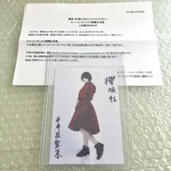 【抽選当選品】欅坂46 平手友梨奈 直筆サイン入り チェキ 当選通知書付 欅坂46 平手友梨奈 フォトカード チェキ 印刷サインカード 2枚