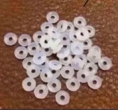 Item thumbnail for item 28158ada-8cc6-4ed2-b0ef-eba01843293b