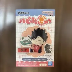 ハイキュー アニメ