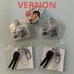 SEVENTEEN バーノン まとめ売りのサムネイル