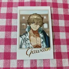 2026年最新】fgo ガウェインの人気アイテム - メルカリ