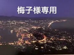 梅子様専用ページ