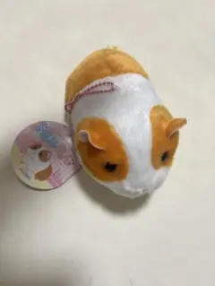 【未使用・新品】モルきゅん ぬいぐるみ マスコット キーチェーン