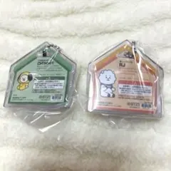 パッケージチャーム BT21 2個セット