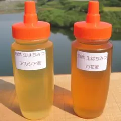 ☪️アカシア蜂蜜２本&百花蜜２本　生はちみつ　　非加熱ハチミツ
