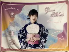 「真夏の全国ツアー2023」 柴田柚菜　個別夏タオル その他グッズ