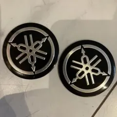 Item thumbnail for item a76f93c6-c1fb-418c-a8a3-8192fc8b4a70