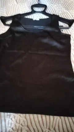 Item thumbnail for item 170136df-115b-4706-92ee-d11953041a51