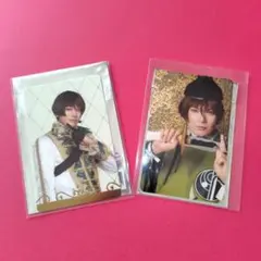 ミュージカル刀剣乱舞　十周年　ランダムふぉとカード　シブツタ　乱舞博覧会