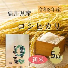 【新米】令和8年産 福井県産コシヒカリ 5kg 農家直送