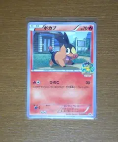 ポカブ 035/BW-P ポケモンカード