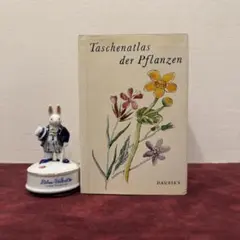 2025年最新】植物図鑑 洋書の人気アイテム - メルカリ