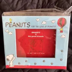 PEANUTS SNOOPY フレーム付きアイテム　アルバム