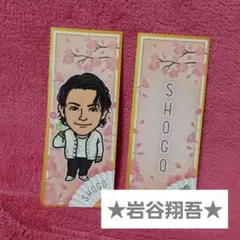 岩谷翔吾　千社札　キラキラステッカー　桜　THE RAMPAGE　①