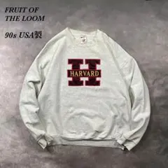 vintage USA製フルーツオブザルーム90sカレッジロゴスウェットAH79