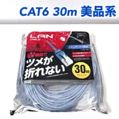 ELECOM LANケーブル6 30m LD-GPT/BU300