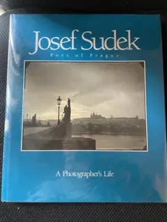 Item thumbnail for item f7a4ab3d-9cf7-4972-a9ae-5d492dd03a0a