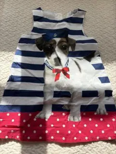 犬のストライプワンピース (100-110cm)