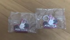 SEVENTEEN MINITEEN エスクプス めじるしアクセサリー　2個