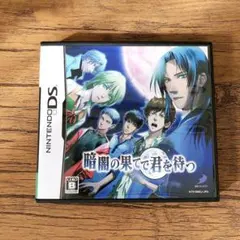 【動作確認後済み】暗闇の果てで君を待つ ds ソフト