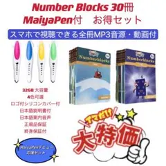 64GBマイヤペン付　エレピギ　ナンバーブロックス　SSS 64GBマイヤペン付エレピギナンバーブロックスSSS