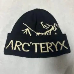 arc'teryx 正規品