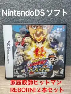 NintendoDSソフト家庭教師ヒットマンREBORN! 2本セット