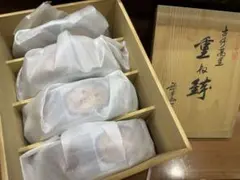 【未使用品】有田焼 重ね鉢