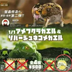 ソータ/so-ta/リバージュネコメガエル/白/蛍光　カプセルトイ