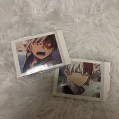 轟焦凍パシャコレ2枚セット