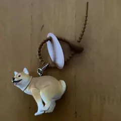 ふんばりーぬ 柴犬 ガチャ