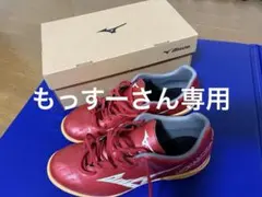Mizuno フットサル27.0cm モナルシーダNEOSALA CLUB IN