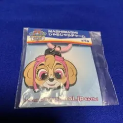 新品！パウパトロール　MASHIMASHI じゃらじゃらチャーム　スカイ