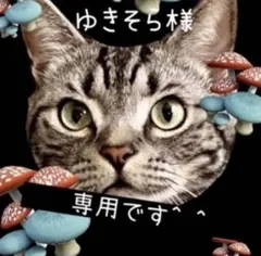 Item thumbnail for item 8f2e0eca-29c4-4614-b1cc-8711a04cca42