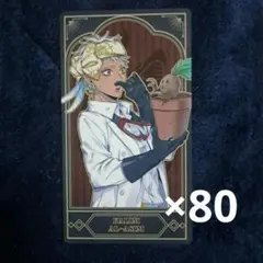 ツイステ カリム 実験着 アルカナカード 80枚