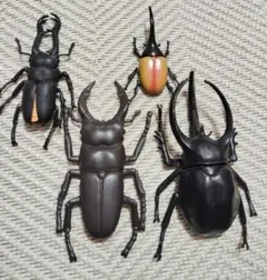 ネプチューン、コーカサス、アトラス 3種セット標本 ネプチューン、コーカサス、アトラス 3種セット標本