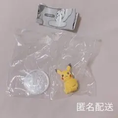 ポケットモンスター　ポケモン　しっぽみてみて！フィギュア1 ピカチュウ(出品①)